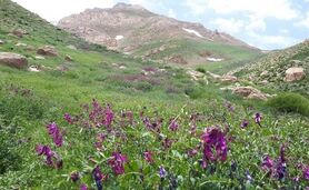 تکه‌ کردن رشته ‎کوه دنا را متوقف کنید

