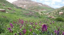 تکه‌ کردن رشته ‎کوه دنا را متوقف کنید

