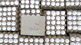 هر شانه تخم‌مرغ در بازار چند؟