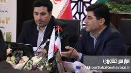 معاون وزیر: تقویت صندوق بیمه کشاورزی، ضامن پایداری تولید