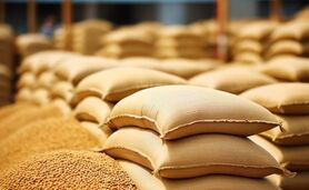 انحصارطلبی مدلل: پشت‌پرده تلاش برای تصاحب بازار کالاهای اساسی