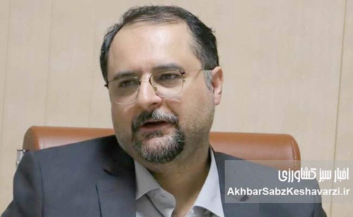 خشخاش و افدرا در قلب اقتصاد سیاسی مرزهای شرقی؛ ستون‌های منطقه هلال طلایی