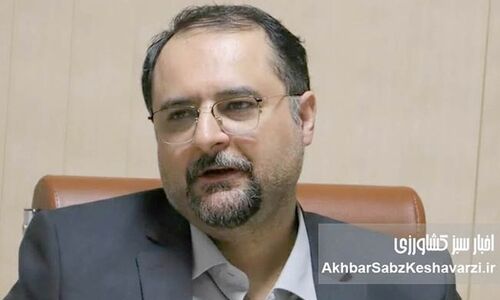 خشخاش و افدرا در قلب اقتصاد سیاسی مرزهای شرقی؛ ستون‌های منطقه هلال طلایی