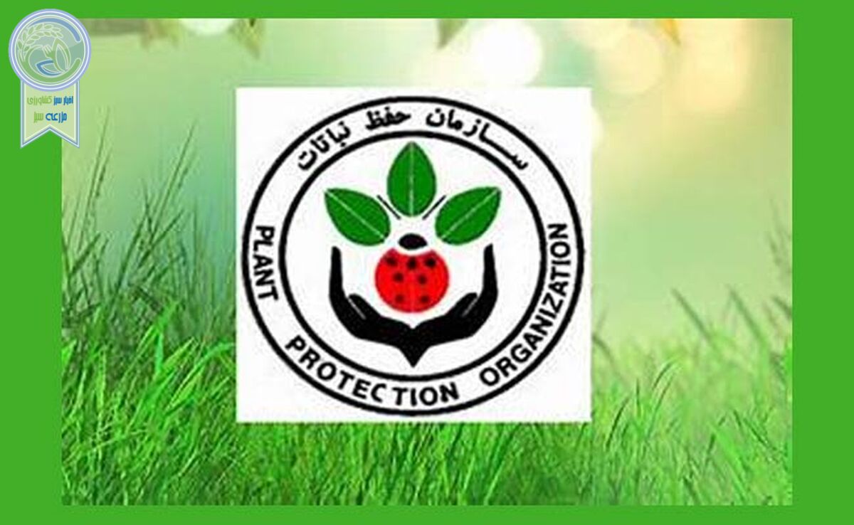 مدیریت در سازمان حفظ نباتات را پایدار کنید+ جدول


