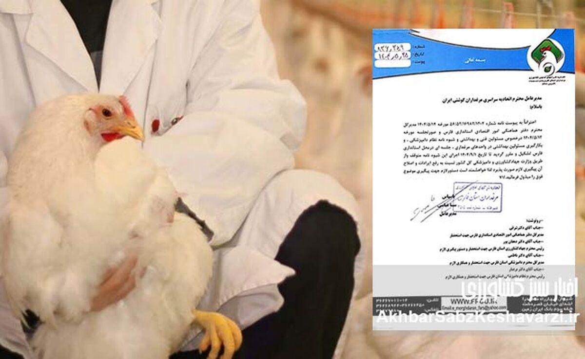 اعتراض به استخدام اجباری دامپزشک: صنعت مرغداری در آستانه چالش جدیدی است؟+نامه