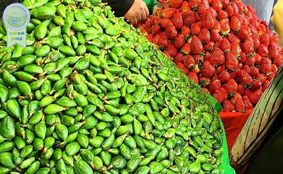 عرضه گسترده نوبرانه‌ها در بازار

