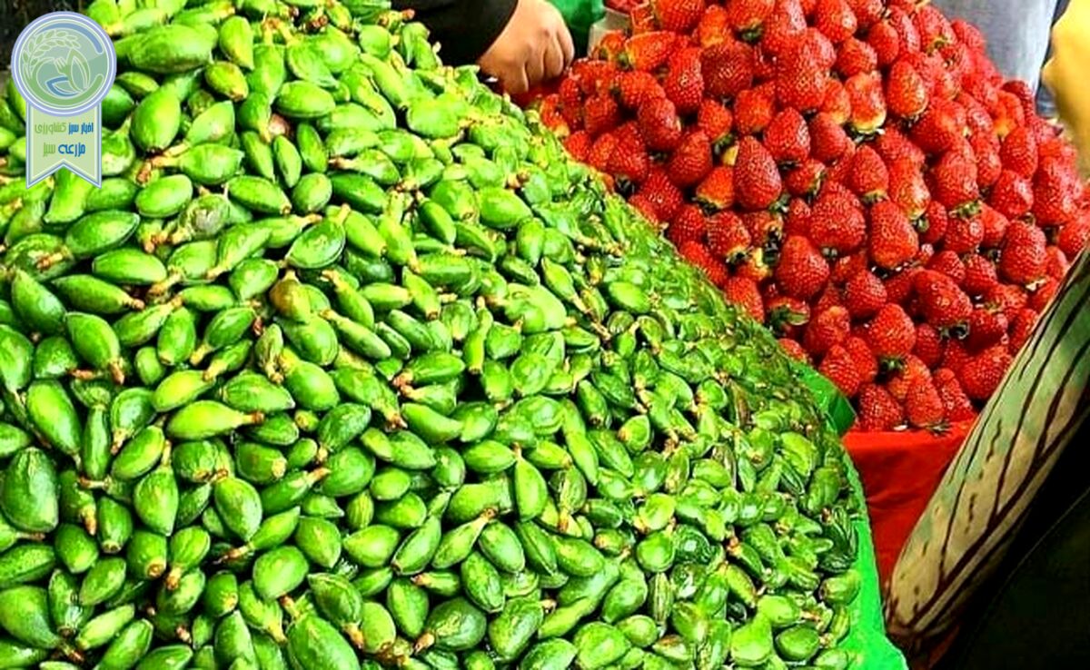 عرضه گسترده نوبرانه‌ها در بازار

