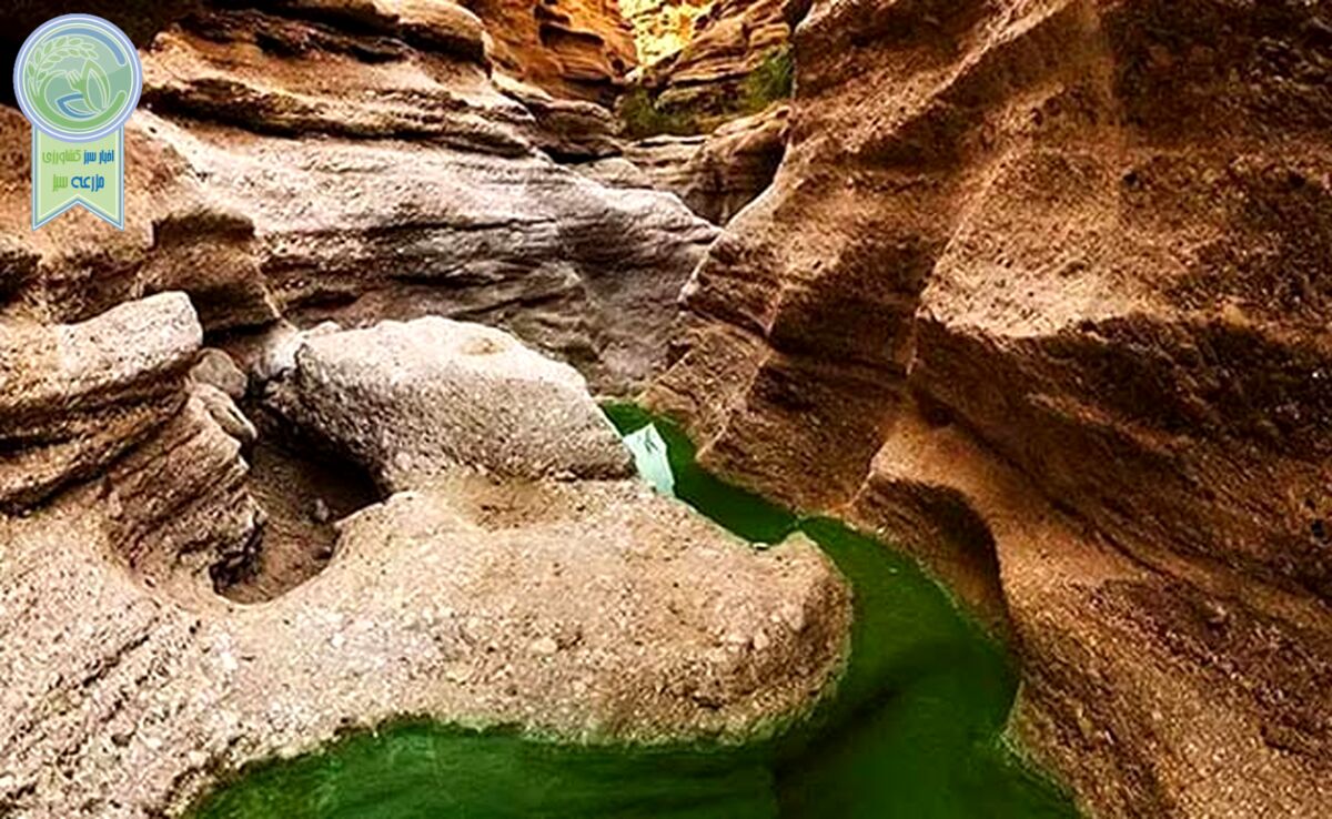 چشمه مرتضی علی؛ شگفت انگیز در طبس

