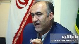 حمایت از سرمایه‌گذاران و توسعه گلخانه‌ها در آیفارم