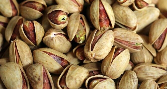 تولید کنندگان پسته بر سر دو راهی صادرات و بازار داخلی