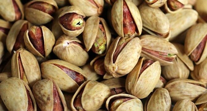 تولید کنندگان پسته بر سر دو راهی صادرات و بازار داخلی