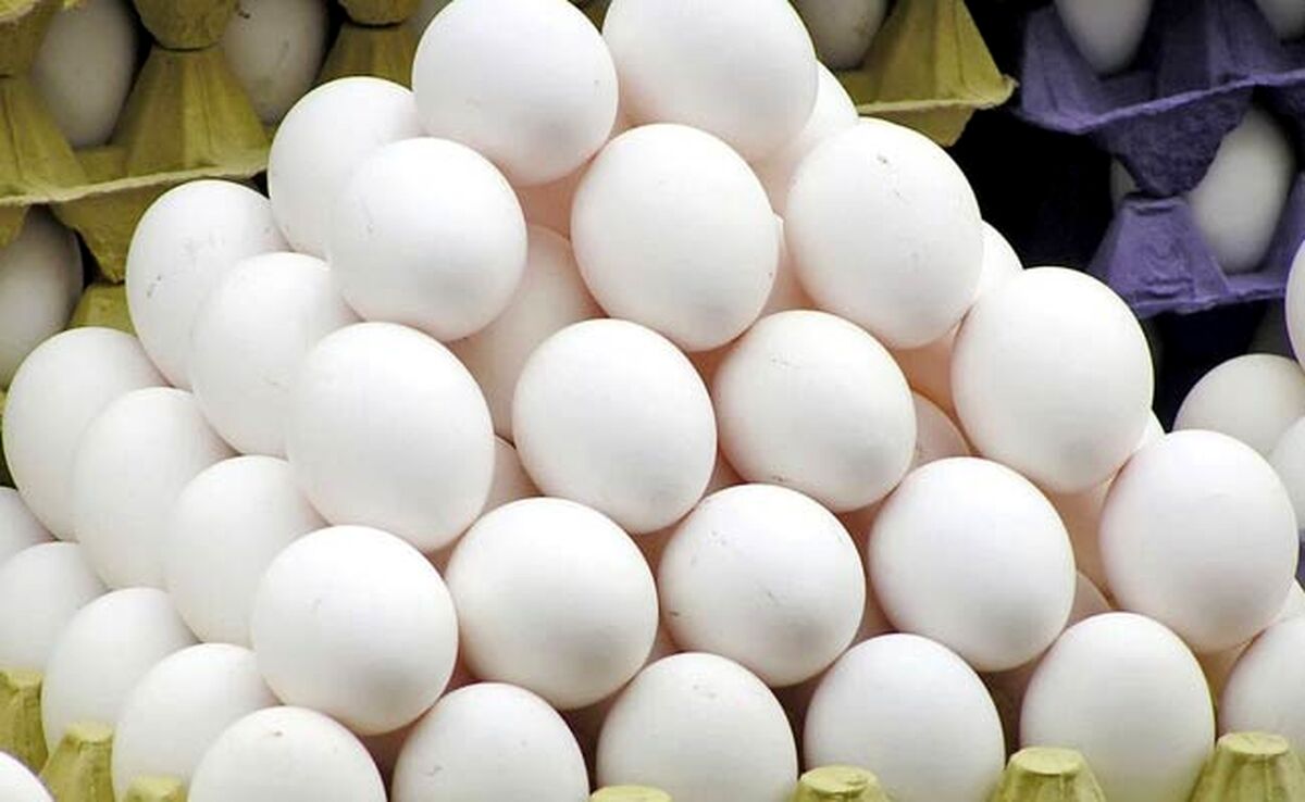 تخم‌مرغ چقدر ارزان شد؟

