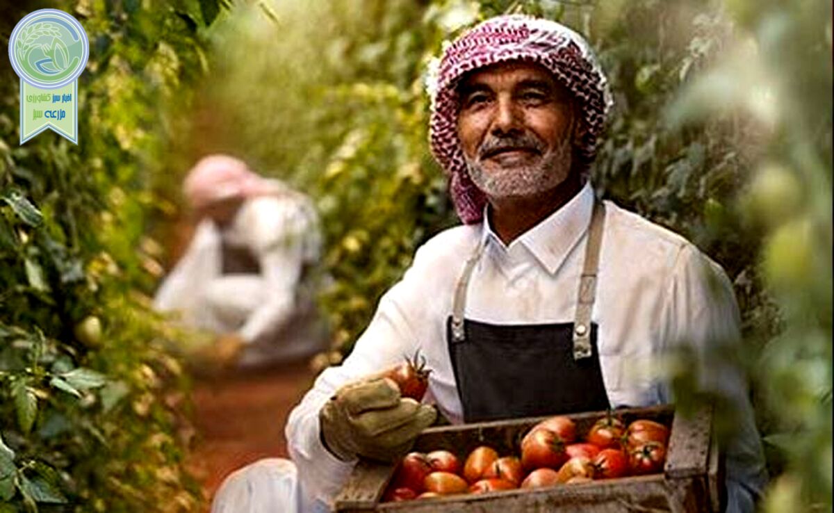 رکورد صادرات غیر نفتی عربستان در سال ۲۰۲۴ ثبت شد؛ گامی بلند در مسیر خداحافظی با اقتصاد تک محصولی!