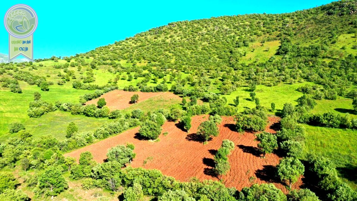 اختصاص ۱۰ هزار هکتار اراضی ملی برای احداث نیروگاه خورشیدی