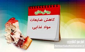 ۳۰ درصد غذا دور ریخته می‌شود؛ راه نجات سفره و محیط‌زیست چیست؟