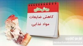 ۳۰ درصد غذا دور ریخته می‌شود؛ راه نجات سفره و محیط‌زیست چیست؟
