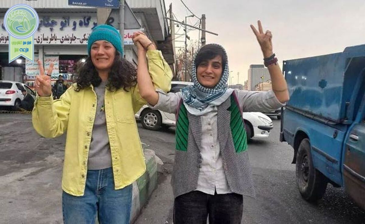 درخواست 500 نفر از روزنامه‌نگاران و فعالان اجتماعی برای توقف حکم الهه محمدی و نیلوفر حامدی

