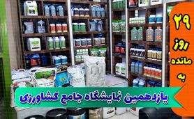 رویارویی و تعامل شرکت‌های تولیدکننده در نمایشگاه یازدهم


