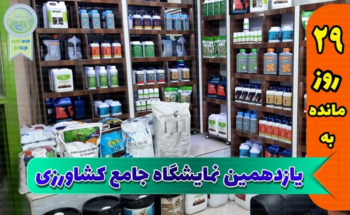 رویارویی و تعامل شرکت‌های تولیدکننده در نمایشگاه یازدهم

