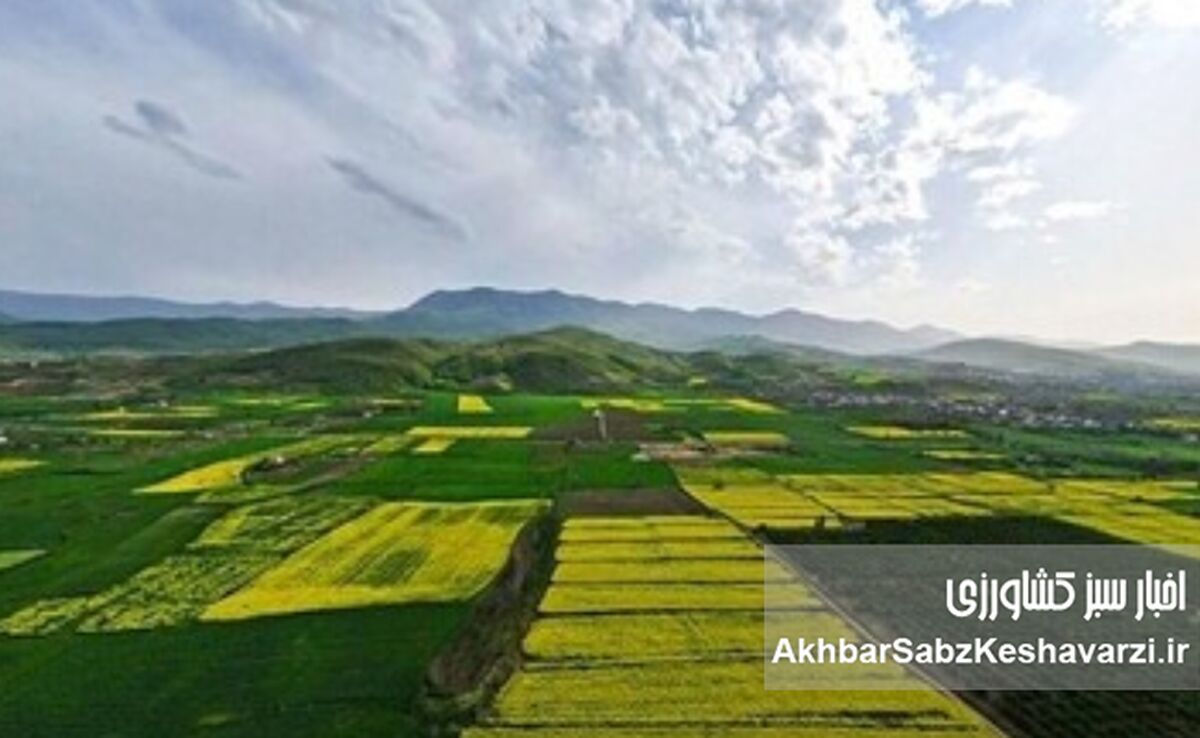 ابهام در آمار سنددار شدن اراضی کشاورزی؛ بخش بزرگی از اسناد نیاز به بازنگری دارد