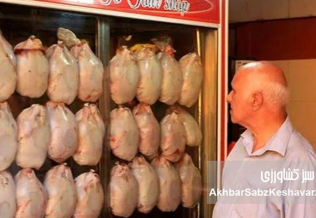 یک بام و دو هوای خودکفایی مرغ
