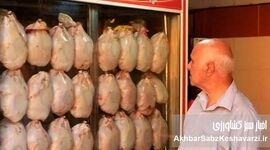 معمای مرغ در اقتصاد نزولی: خودکفایی واقعی یا تعادل در فقر؟

