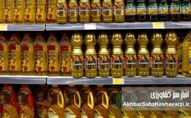 کمبود روغن خوراکی؛ نشانه‌ای کوچک از بی‌ثباتی بزرگ اقتصادی