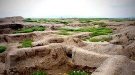کنترل بیابانزایی و تثبیت شن‌های روان، نیازمند عزم ملی