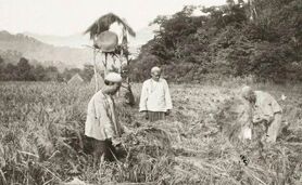 بخش‌ دوازدهم:‌ بحران جهانی 1929 و مناسبات، نهادها و شرکای تجاری ایران

