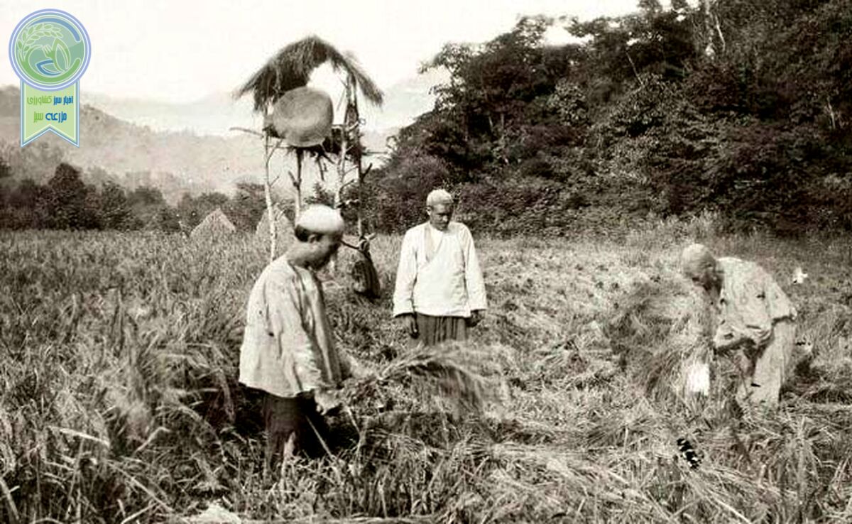 بخش‌ دوازدهم:‌ بحران جهانی 1929 و مناسبات، نهادها و شرکای تجاری ایران

