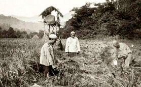 بخش‌ دوازدهم:‌ بحران جهانی 1929 و مناسبات، نهادها و شرکای تجاری ایران


