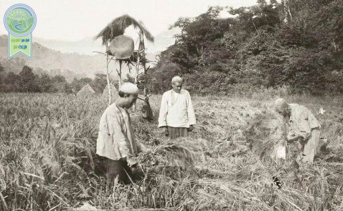 بخش‌ دوازدهم:‌ بحران جهانی 1929 و مناسبات، نهادها و شرکای تجاری ایران

