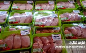 گوشت و مرغ بسته‌بندی گران شد؟ روایت رسمی از تأثیر گرانی پلاستیک

