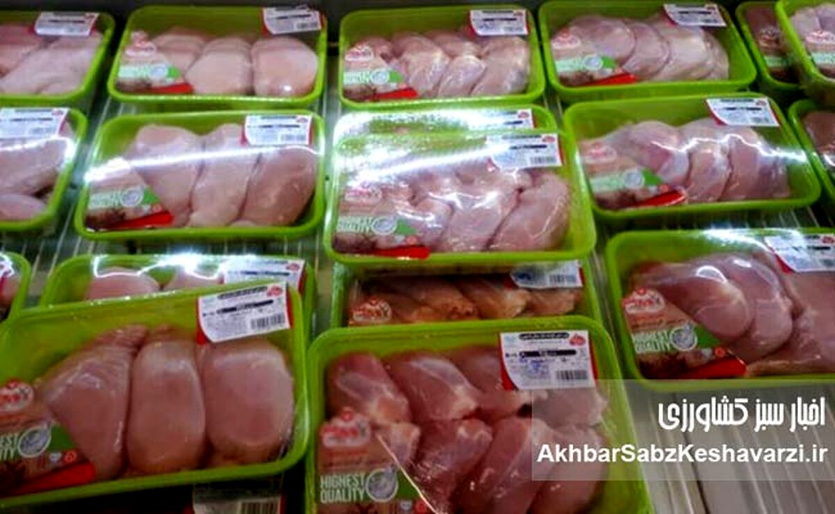 گوشت و مرغ بسته‌بندی گران شد؟ روایت رسمی از تأثیر گرانی پلاستیک
