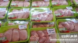 گوشت و مرغ بسته‌بندی گران شد؟ روایت رسمی از تأثیر گرانی پلاستیک
