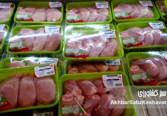 کاهش ۳۰ درصدی قیمت مرغ؛ راهکار مجلس چیست؟
