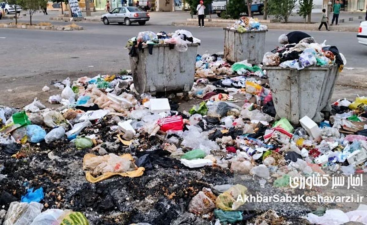 بحران خاموش سفره‌ها؛ چرا پسماند غذایی شهرها را بلعید؟
