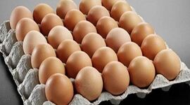 قیمت هر شانه تخم مرغ ۳۰ هزار تومان افزایش یافت

