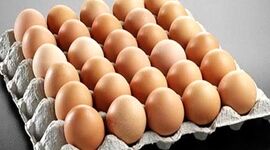 قیمت هر شانه تخم مرغ ۳۰ هزار تومان افزایش یافت

