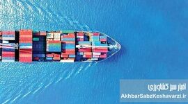 ازسرگیری حمل مستقیم کالا از امارات به ایران؛ گره تجارت باز می‌شود
