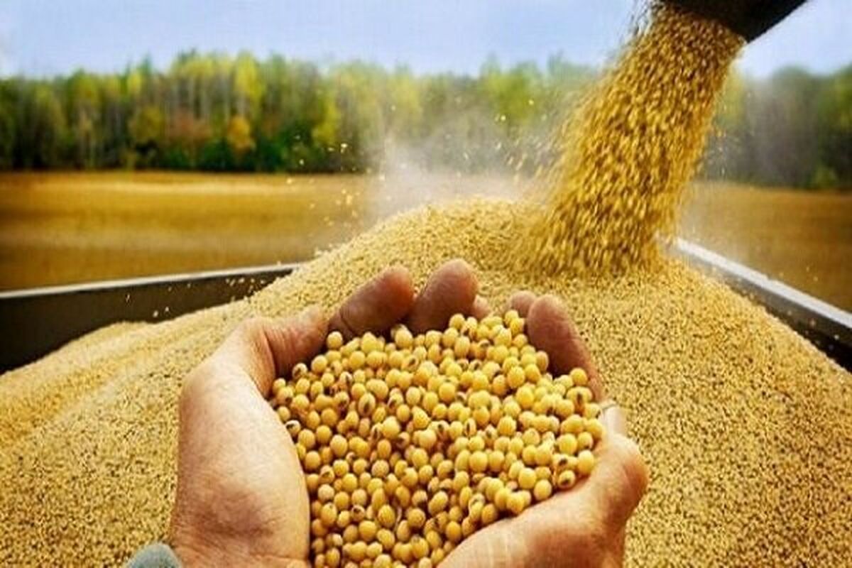 از نهاده‌های دامی تا صنایع غذایی؛ ترکیب هیأت تجاری-کشاورزی ایران در همایش ایران و ازبکستان
