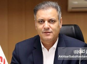  قیمت عمده برنج پاکستانی و هندی بالا رفت؛ هر کیلو چند؟
