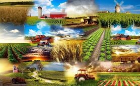 آغاز سرشماری بخش کشاورزی به زودی


