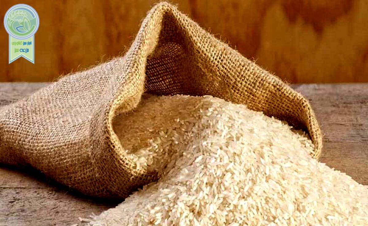 سرانه مصرف برنج در کشور ۳۵ کیلو  است
