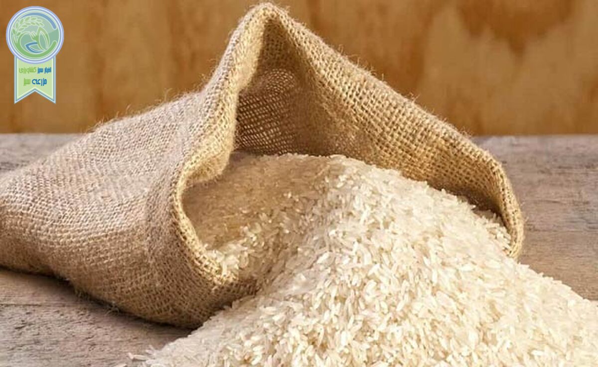 سرانه مصرف برنج در کشور ۳۵ کیلو  است
