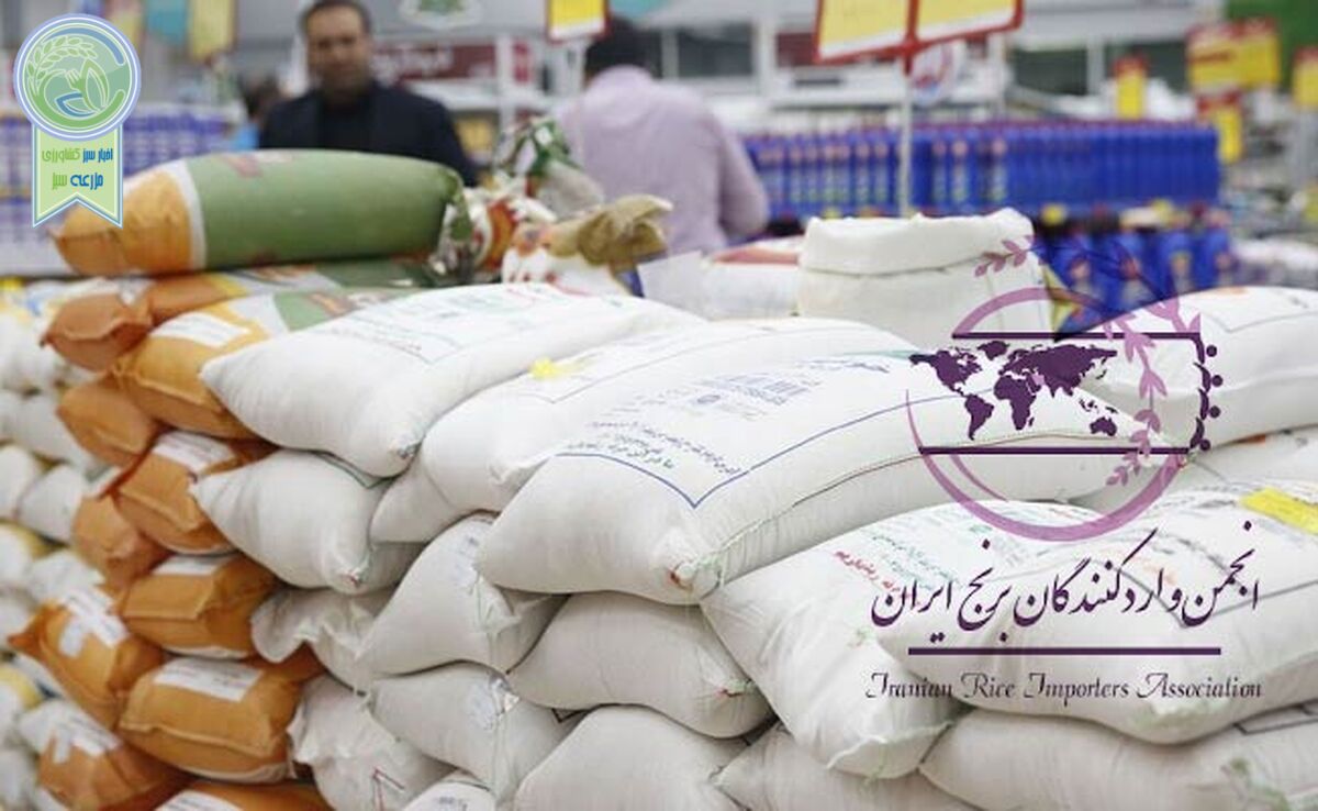 واکنش تند واردکنندگان برنج به ادعای اختلاط ۹۰ درصدی: فرافکنی به جای شفاف‌سازی

