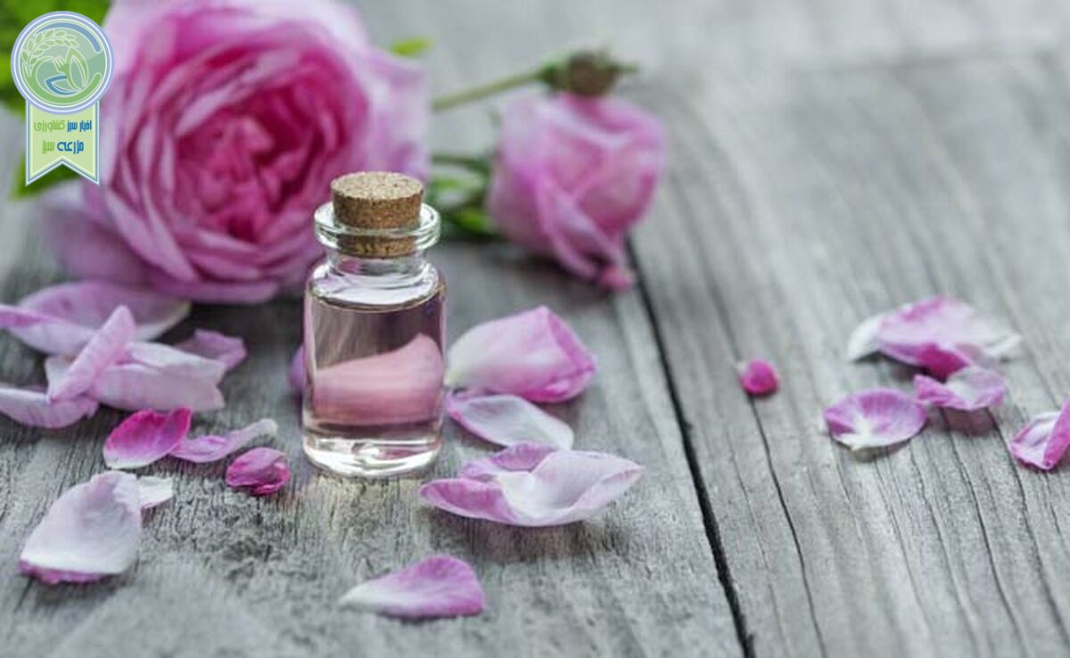 صادرات عطر ایران به فرانسه

