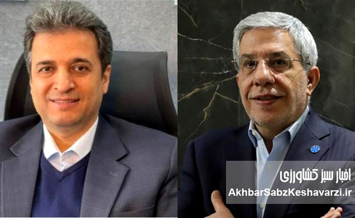 تحلیلی بر مصاحبه دکتر محسن بهرامی ارض اقدس: انفعال وزیر جهاد کشاورزی در قبال افزایش قیمت برنج