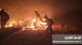 شعله‌های زاگرس از داوطلبان جلو زد؛ هشدار از فاجعه در فارس
