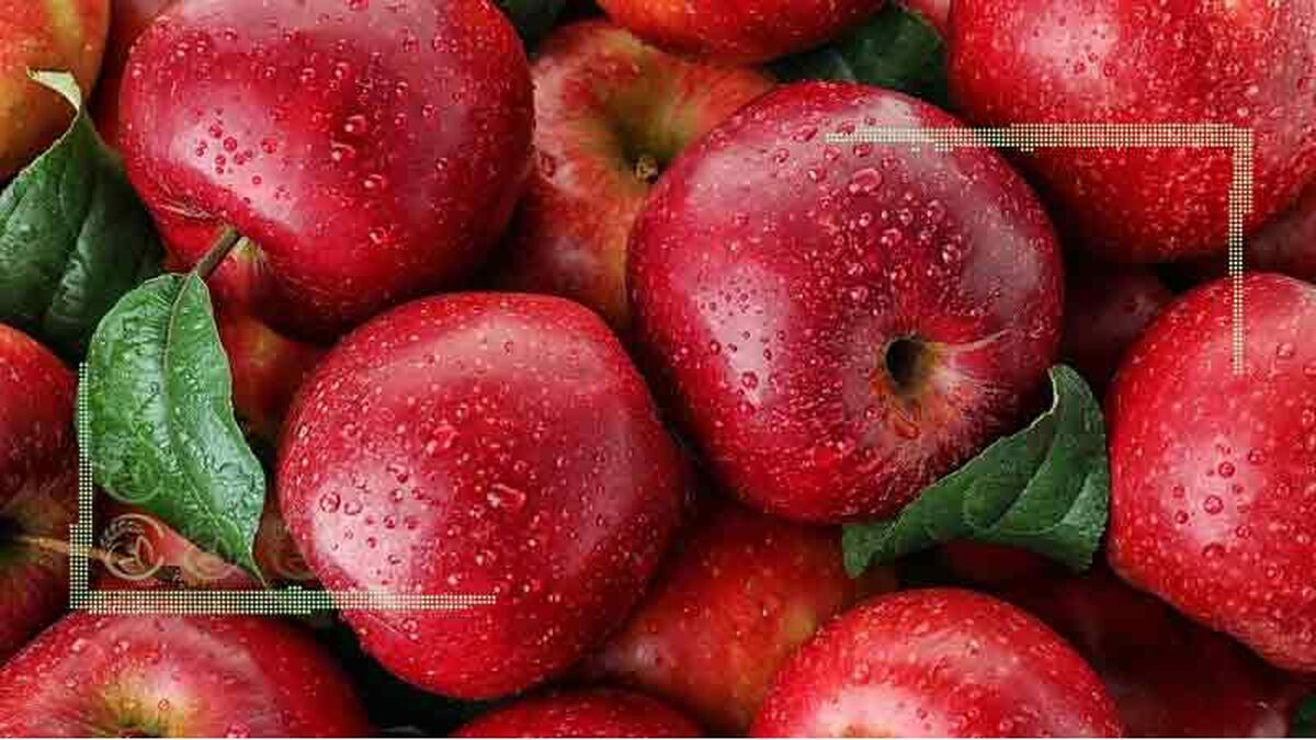 هر روز این میوه را بخورید

